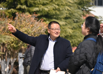 张延东—绿野新声