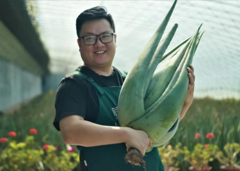 芦荟园中唱摇滚的他——刘浩