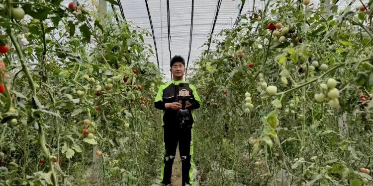 李伟明：电商新农人的蔬果狂想曲