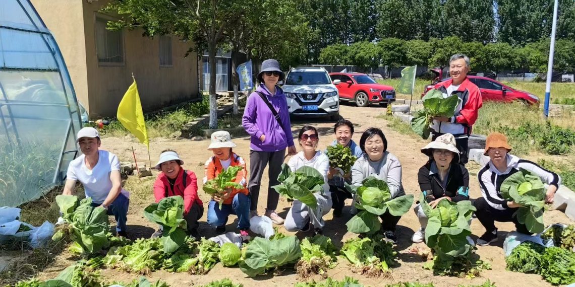 城市新农人的落地生根——杨铭鑫