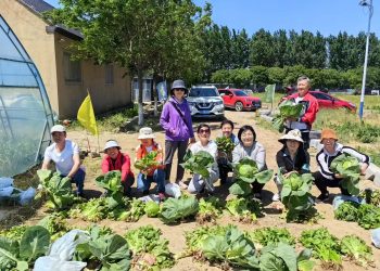 城市新农人的落地生根——杨铭鑫
