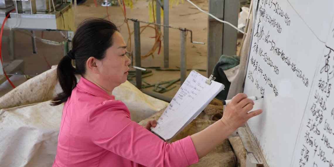 新农人NO.20 | 从大棚“破局者”到乡村“领路人”——辛云