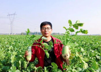 新农人NO.23 | “萝卜的尖叫”背后的追梦人—吕仁智​