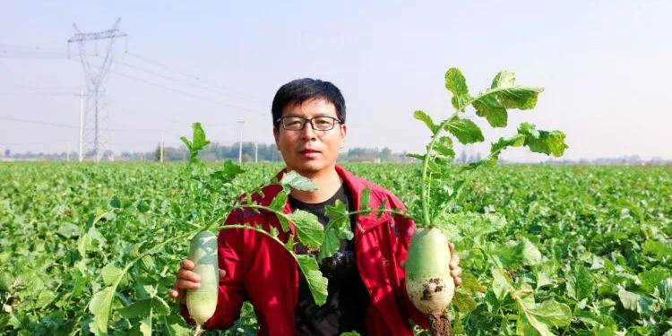 新农人NO.23 | “萝卜的尖叫”背后的追梦人—吕仁智​