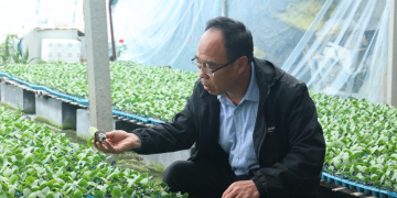 新农人NO.30 | 育苗先锋——吴仁杰