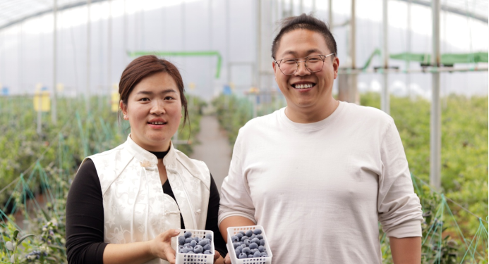 新农人NO.29 | 以匠心为壤，育蓝莓臻品——孙芳